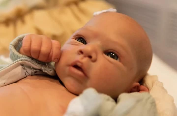Mulher pede licença-maternidade para boneca reborn