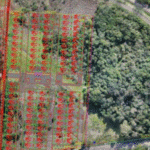 Governo Federal formaliza doação de terreno para novas moradias em Encantado (RS)