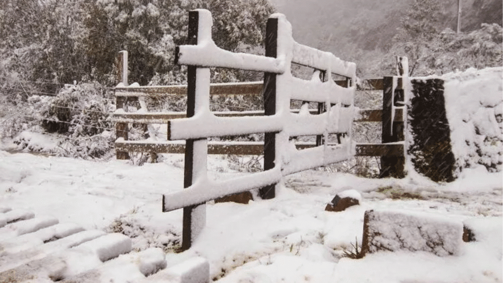 Inverno Antecipado: massa de ar frio traz vento gelado e risco de neve ao sul do Brasil