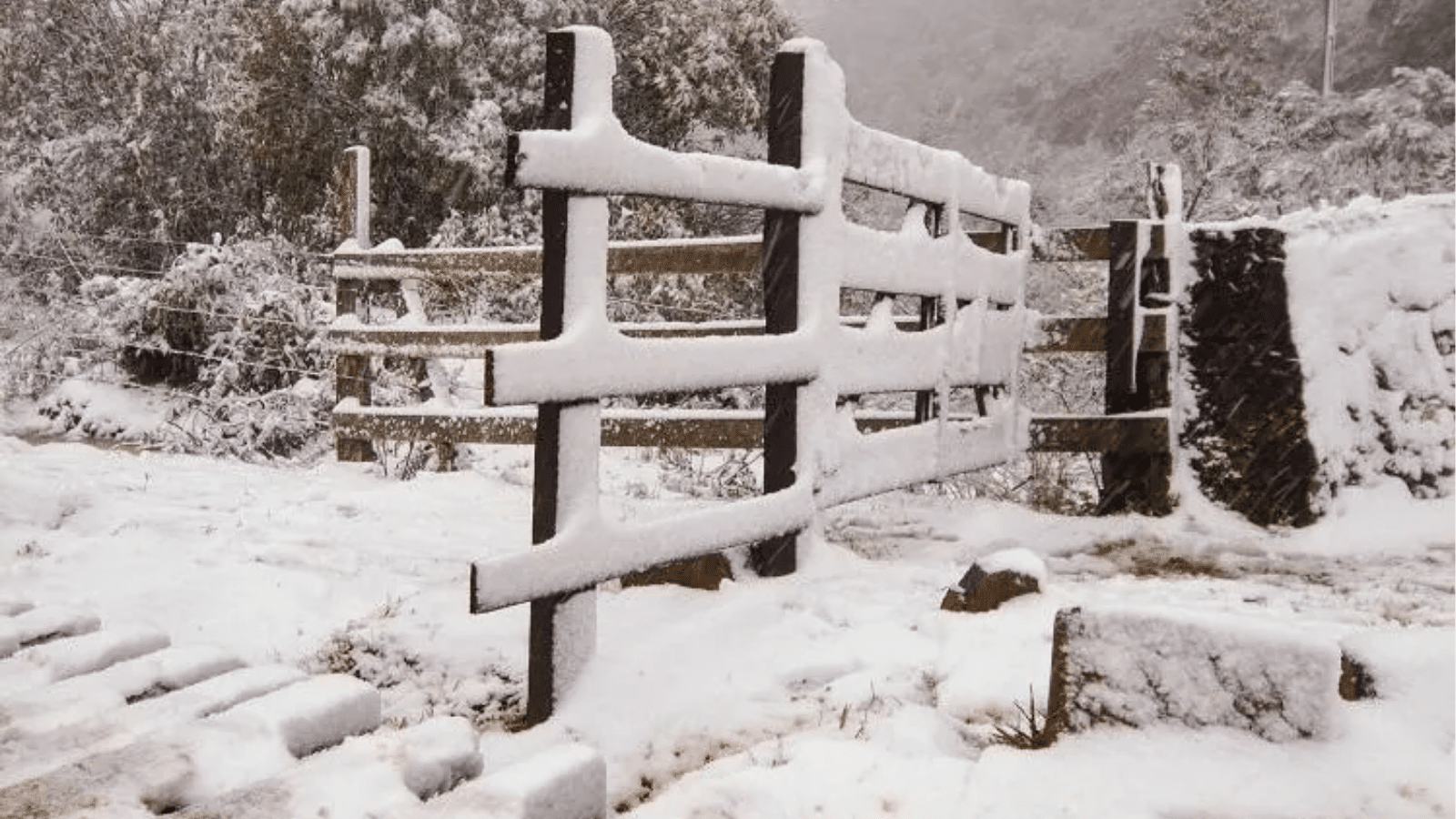 Inverno Antecipado: massa de ar frio traz vento gelado e risco de neve ao sul do Brasil