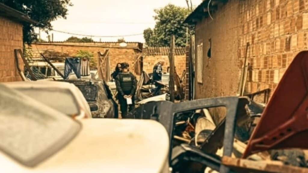 Fiscalização em Camaquã descobre crime ambiental em depósito