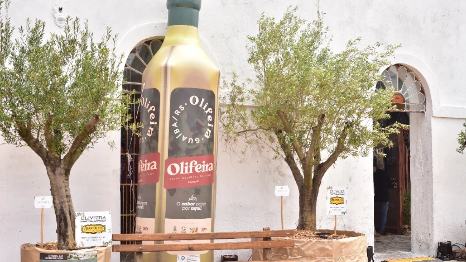 Prefeitura de Guaíba e Abrazeite fazem lançamento da quarta edição da Olifeira