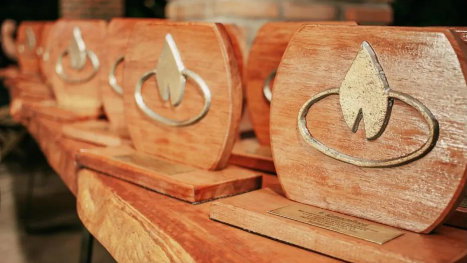 ExpoCamaquã 2025: Troféu Melhores do Campo reconhece produtores e lideranças do agronegócio