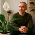 Por que precisa de um lírio-da-paz para garantir boas energias em sua casa