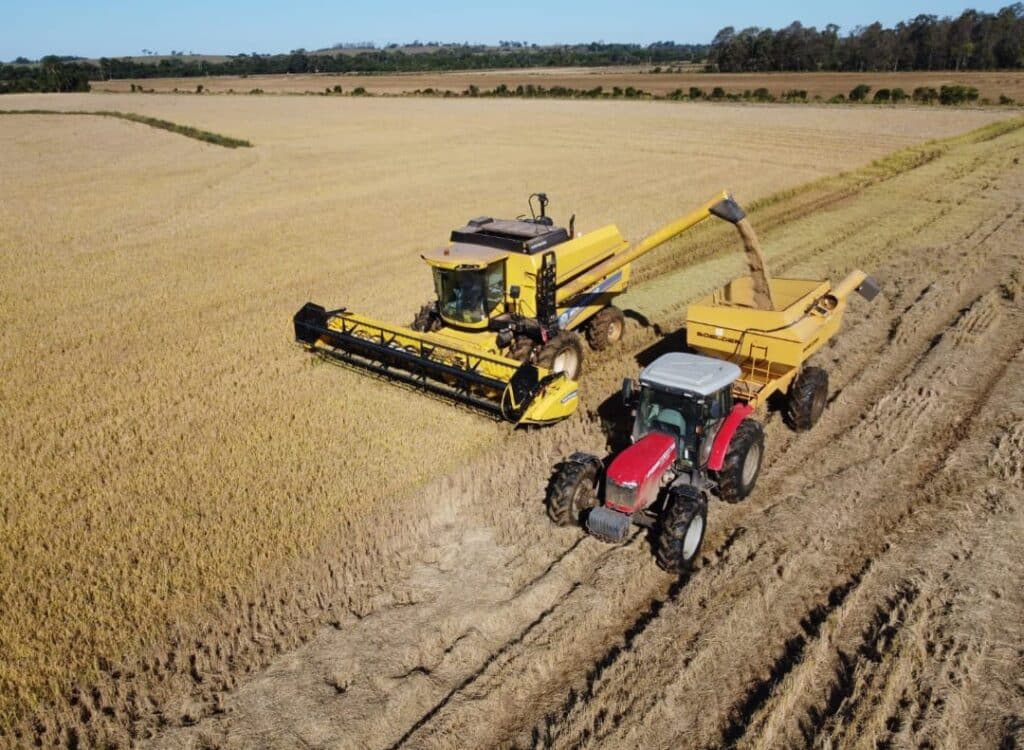Camaquã está entre os 10 maiores produtores de arroz do estado, segundo o Irga