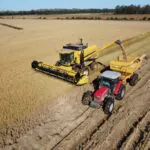 Camaquã está entre os 10 maiores produtores de arroz do estado, segundo o Irga