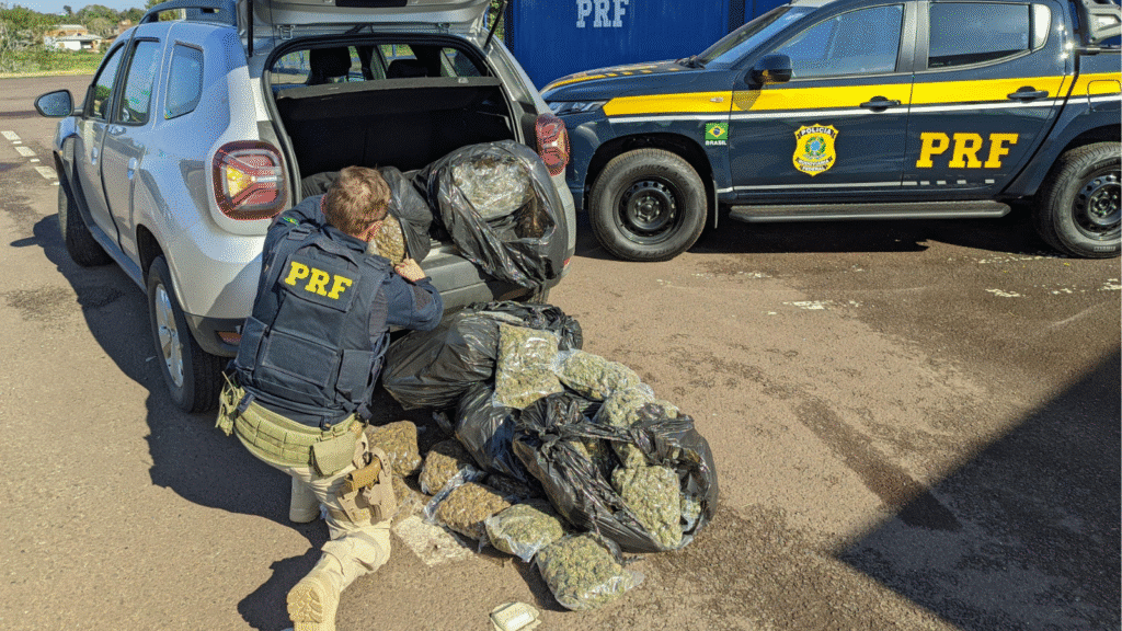 PRF prende homem com 37 quilos de skunk em Torres