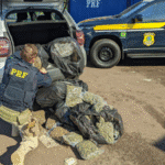 PRF prende homem com 37 quilos de skunk em Torres