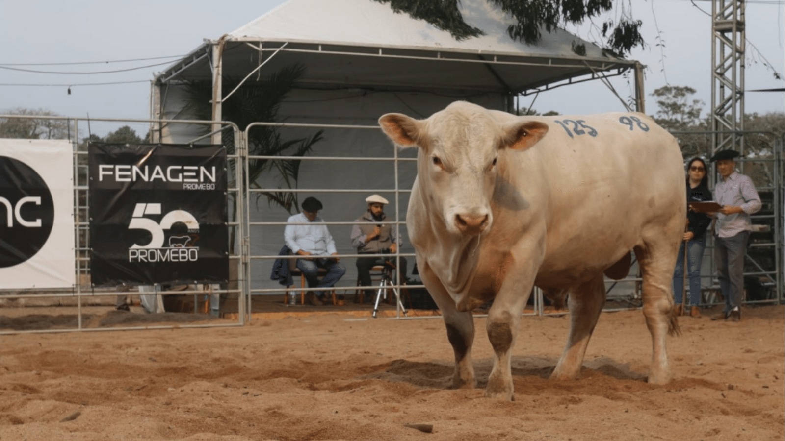 Fenagen Promebo registra 40% de aumento no número de inscrições