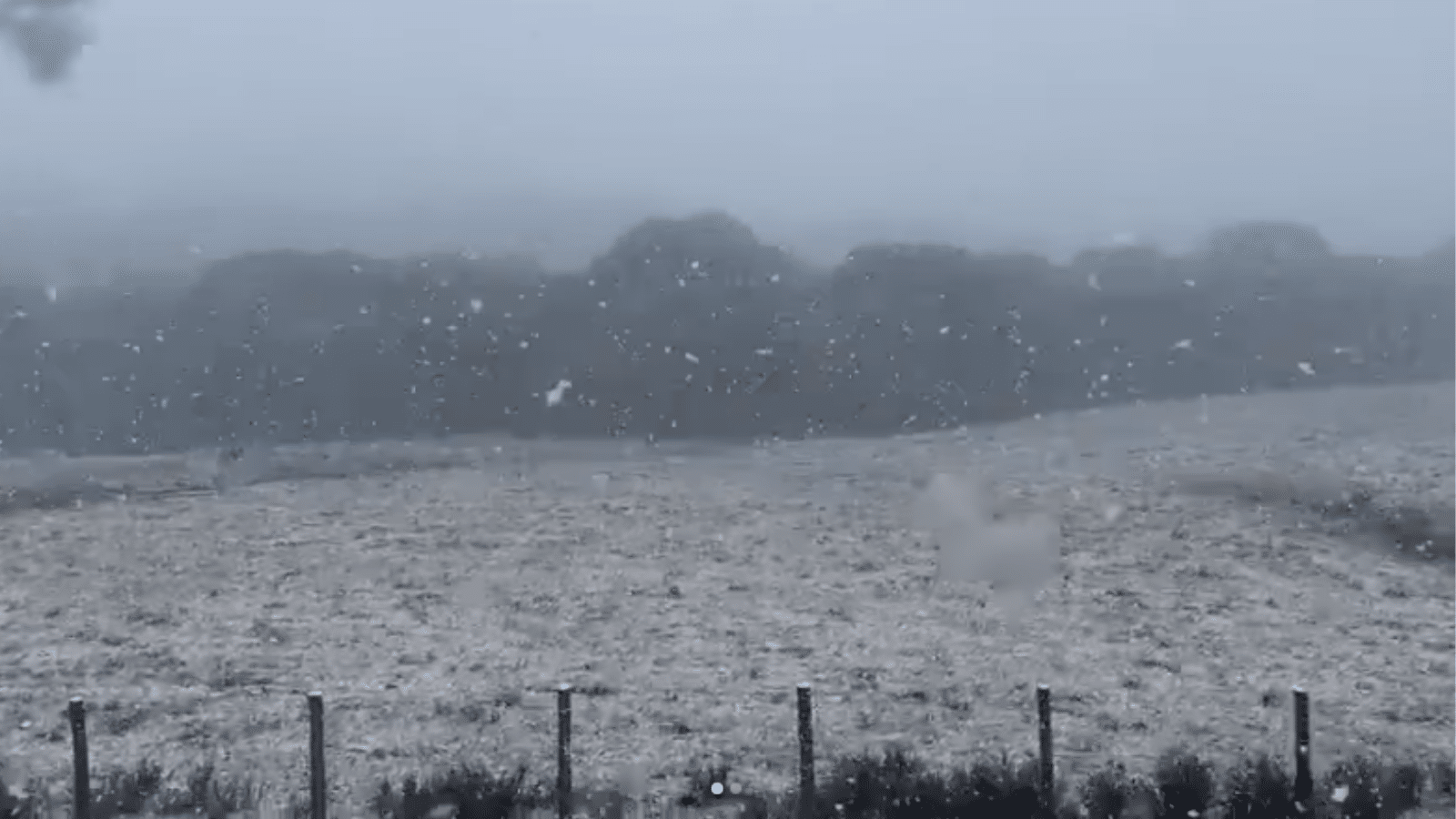RS registra neve e sensação térmica de -10°C neste sábado