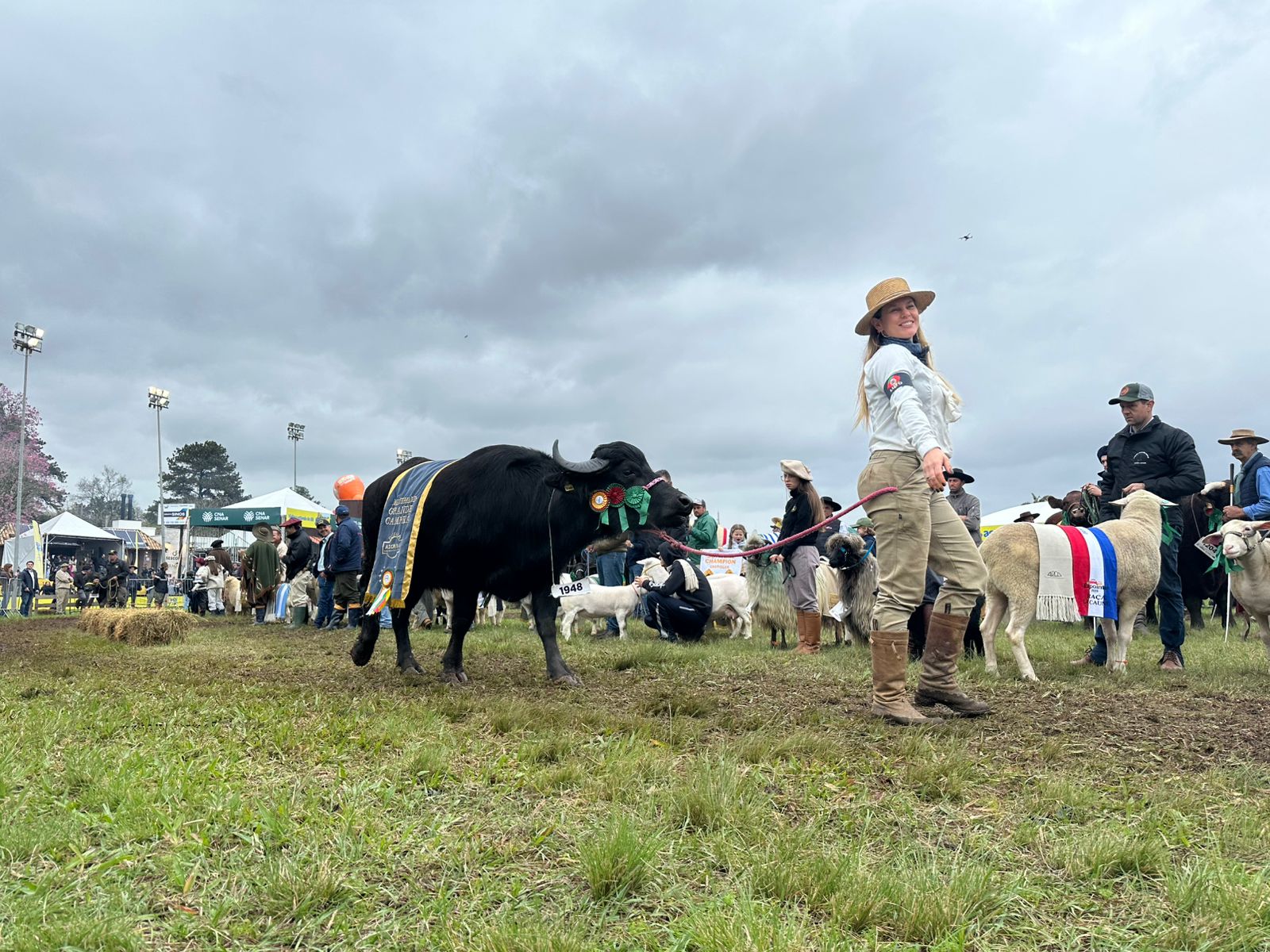 Desfile dos campeões da Expointer 2025. Foto: Geovana Jacobsen/Rádio Acústica FM.