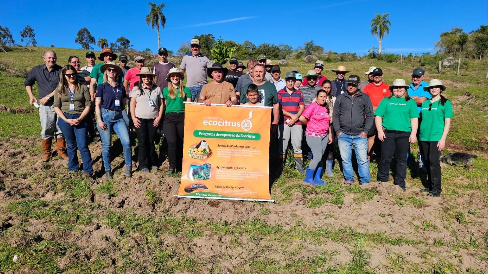 Chuvisca inicia cultivo de laranjas com foco em produção orgânica. Foto: Divulgação.