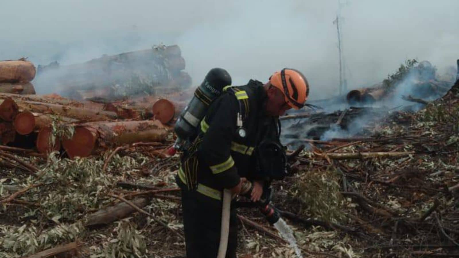 Tapes: Bombeiros lutam por 8h contra incêndio de grandes proporções