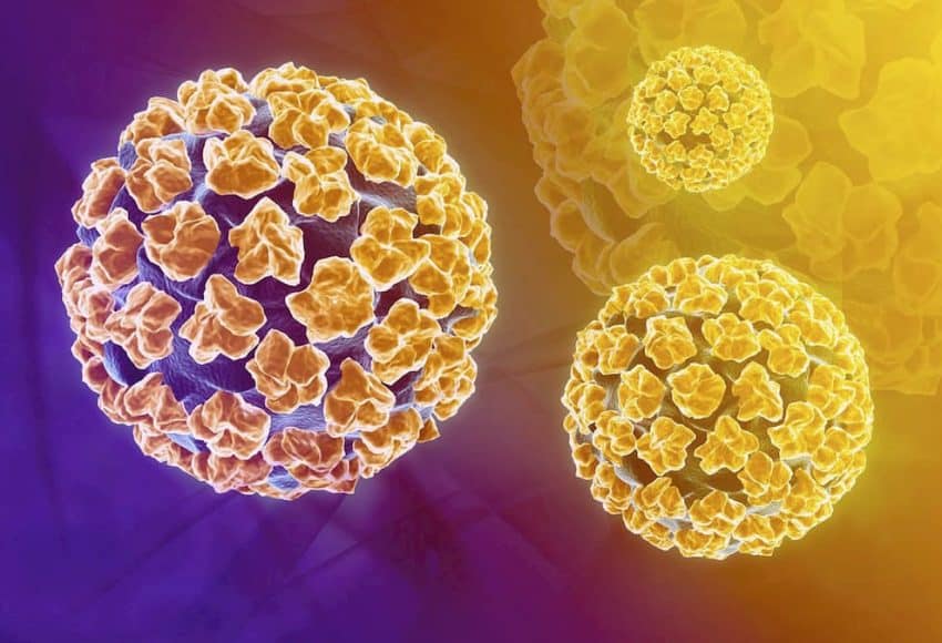 HPV: vírus comum e perigoso exige prevenção e diagnóstico precoce