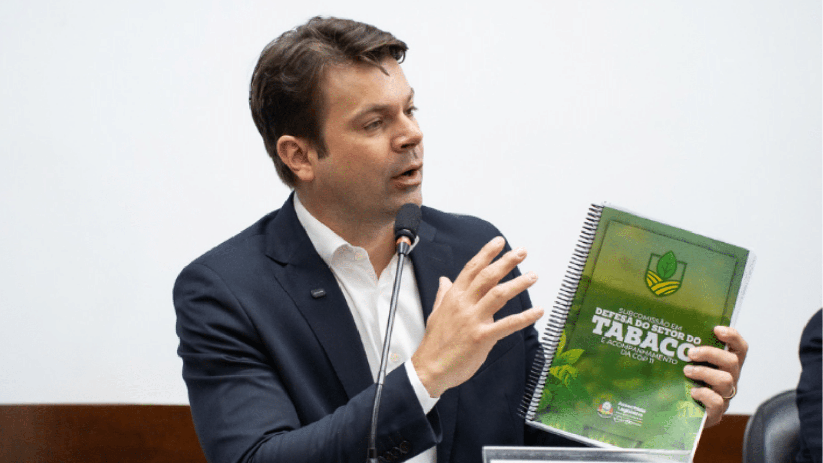 Assembleia Legislativa aprova relatório e comitiva gaúcha vai à COP 11 do Tabaco