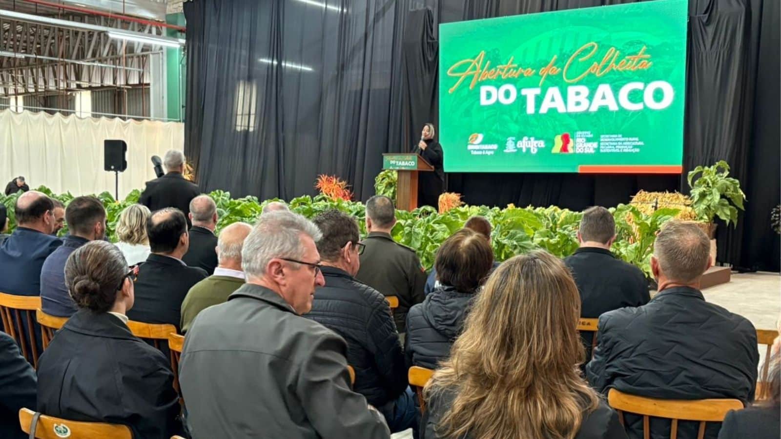 Abertura da Colheita do Tabaco reúne produtores e lideranças em Rio Pardo. Foto: Fábio Renner/Rádio Acústica FM.