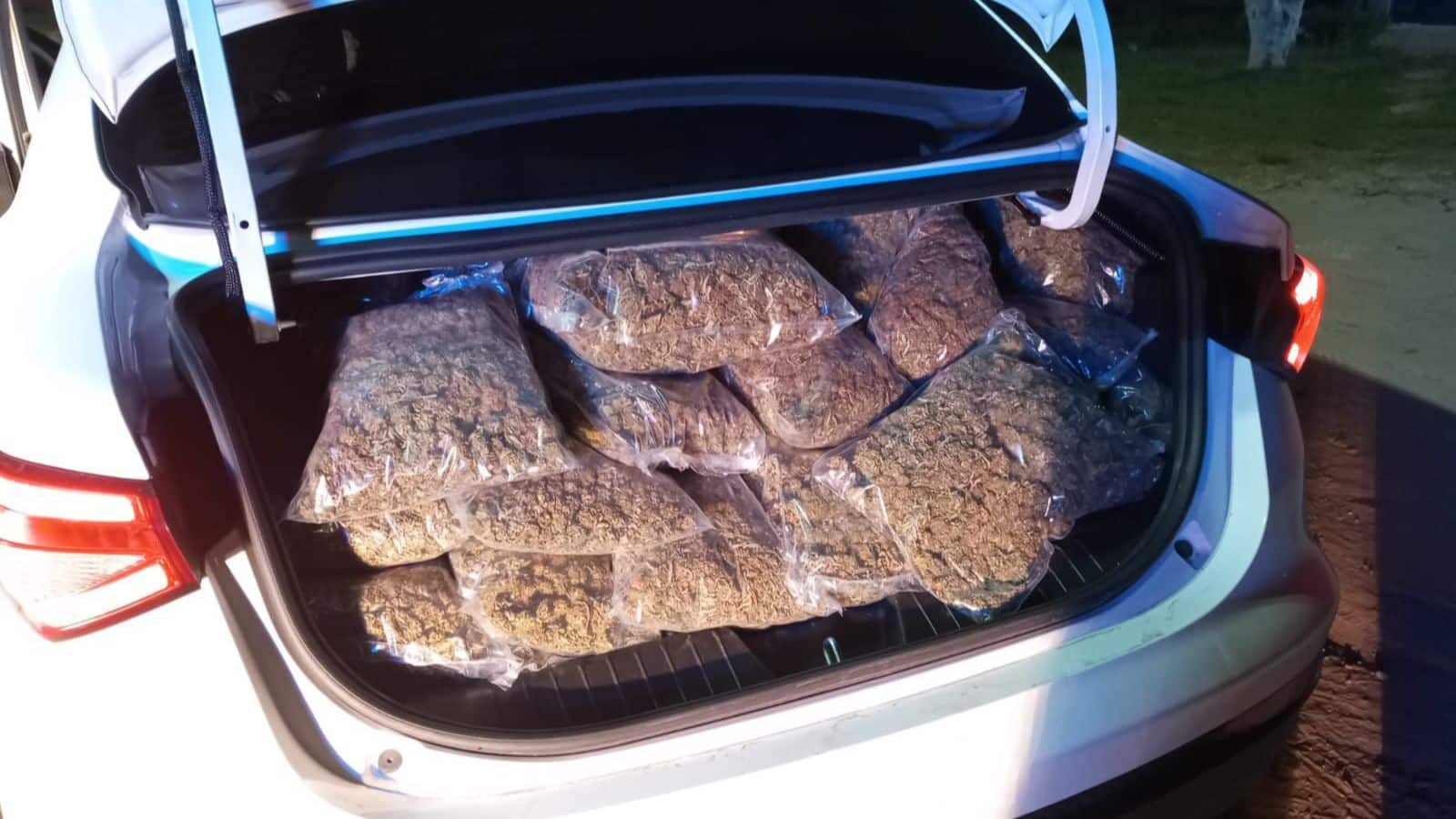 Polícia apreende 46 quilos de skunk na BR-471 em Rio Grande. Foto: Divulgação.