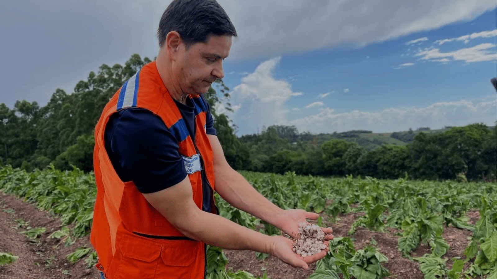 Dom Feliciano faz registro georreferenciado após granizo atingir áreas rurais. Foto: Divulgação/Prefeitura de Dom Feliciano.