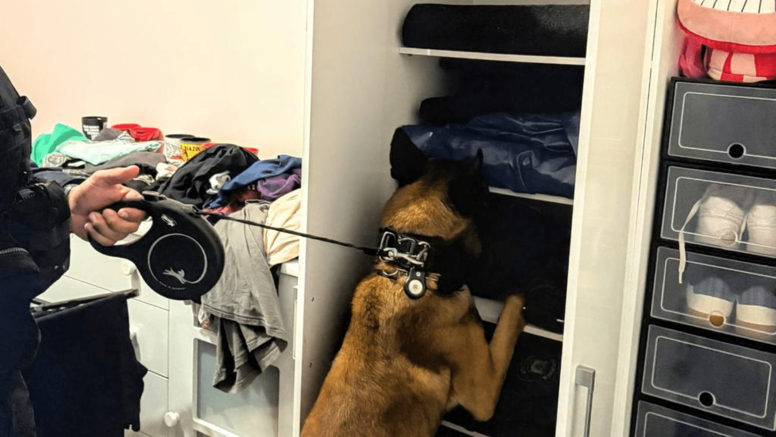 Policial e psicóloga são investigados por tráfico de drogas dentro da penitenciária feminina de Guaíba. Foto: Divulgação | MPRS