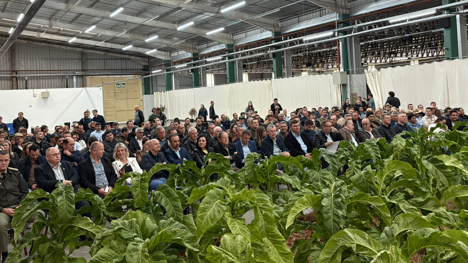7ª Abertura da Colheita do Tabaco reúne lideranças em Rio Pardo