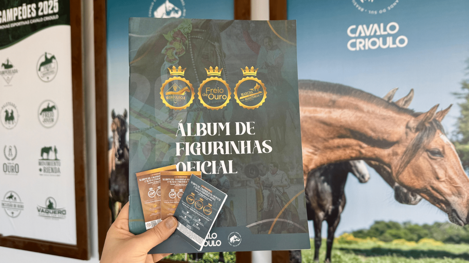 Associação Brasileira de Criadores de Cavalos Crioulos promove campanha solidária de Natal