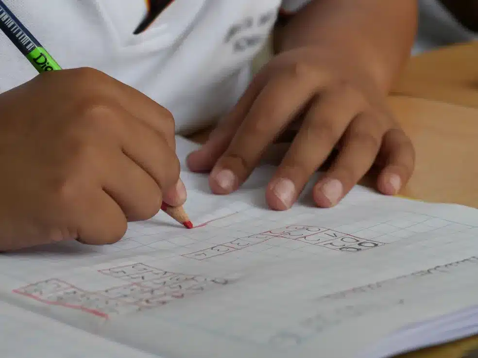Matrículas 2026 começam em Dom Feliciano