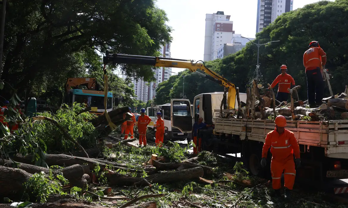 Dois dias após ciclone, São Paulo ainda tem 800 mil moradores sem energia. Foto: Rovena Rosa/Agência Brasil.
