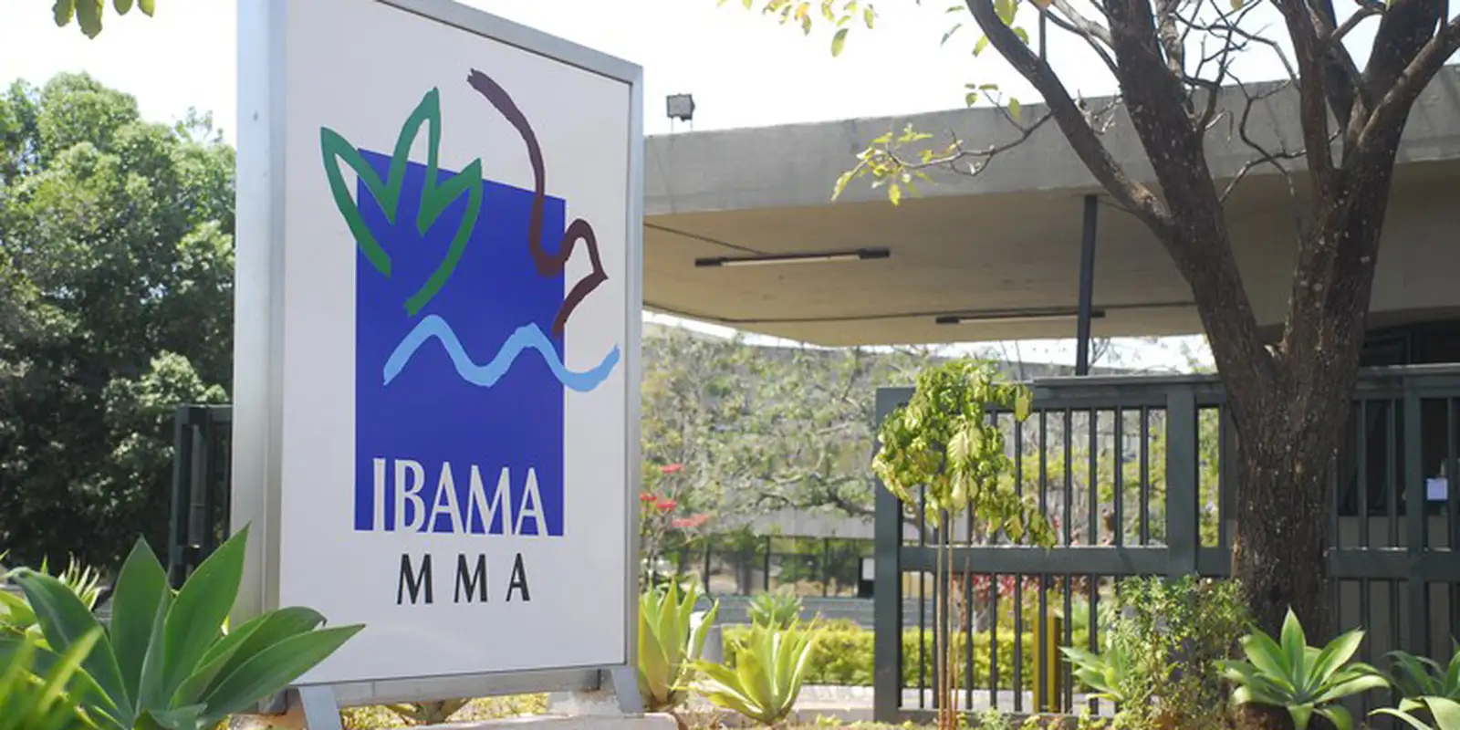 Concurso Público: Ibama e Incra terão 60 vagas em diversas áreas