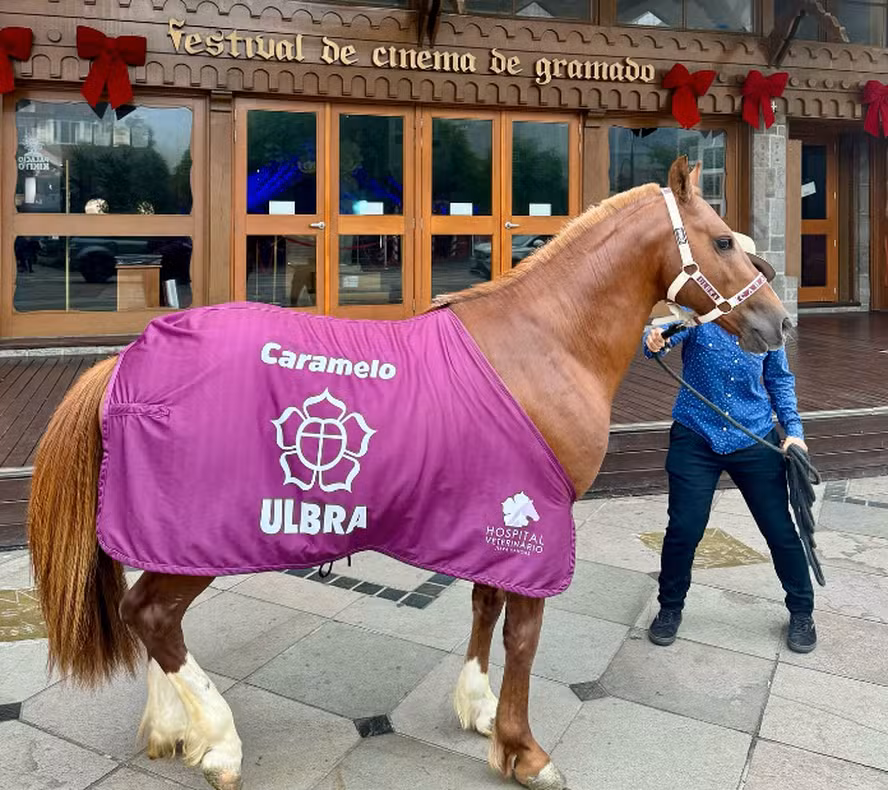 Cavalo caramelo: estátua gigante vai ser construída no RS