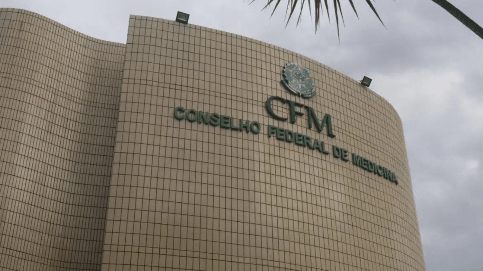 Cremers defende atuação do CFM após decisão do STF. Foto: CFM/Divulgação.