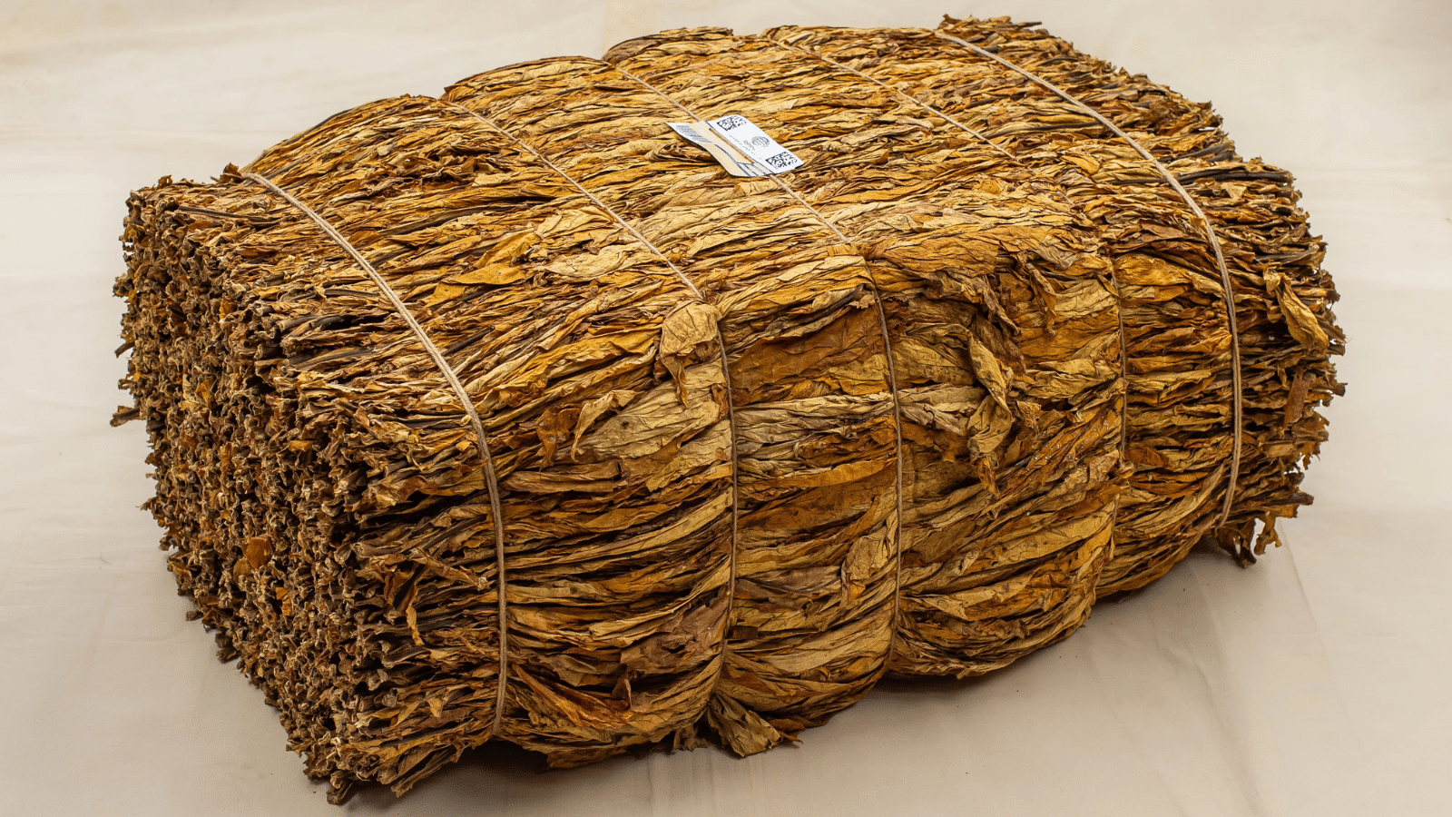 Acordo entre Mercosul e União Europeia pode ampliar competitividade internacional do tabaco brasileiro. Foto: SindiTabaco/Divulgação.
