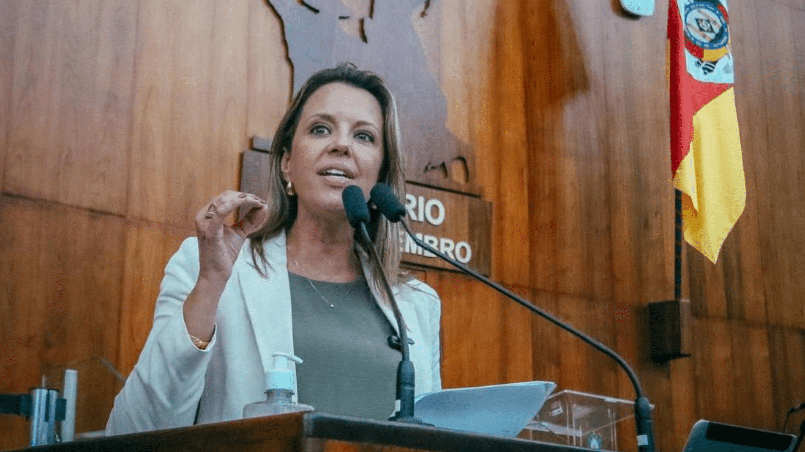 Deputada propõe lei que autoriza mulheres a consultar antecedentes de parceiros. Foto: Rodrigo Rodrigues/ALRS.