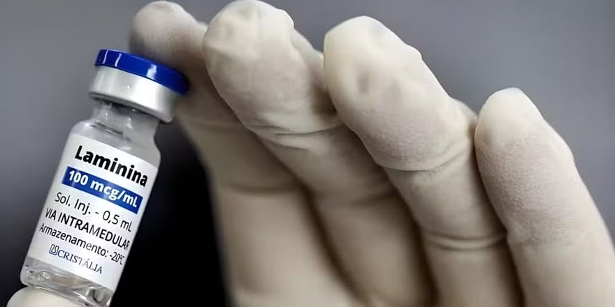 Polilaminina: o segredo da proteína que está curando lesões na coluna