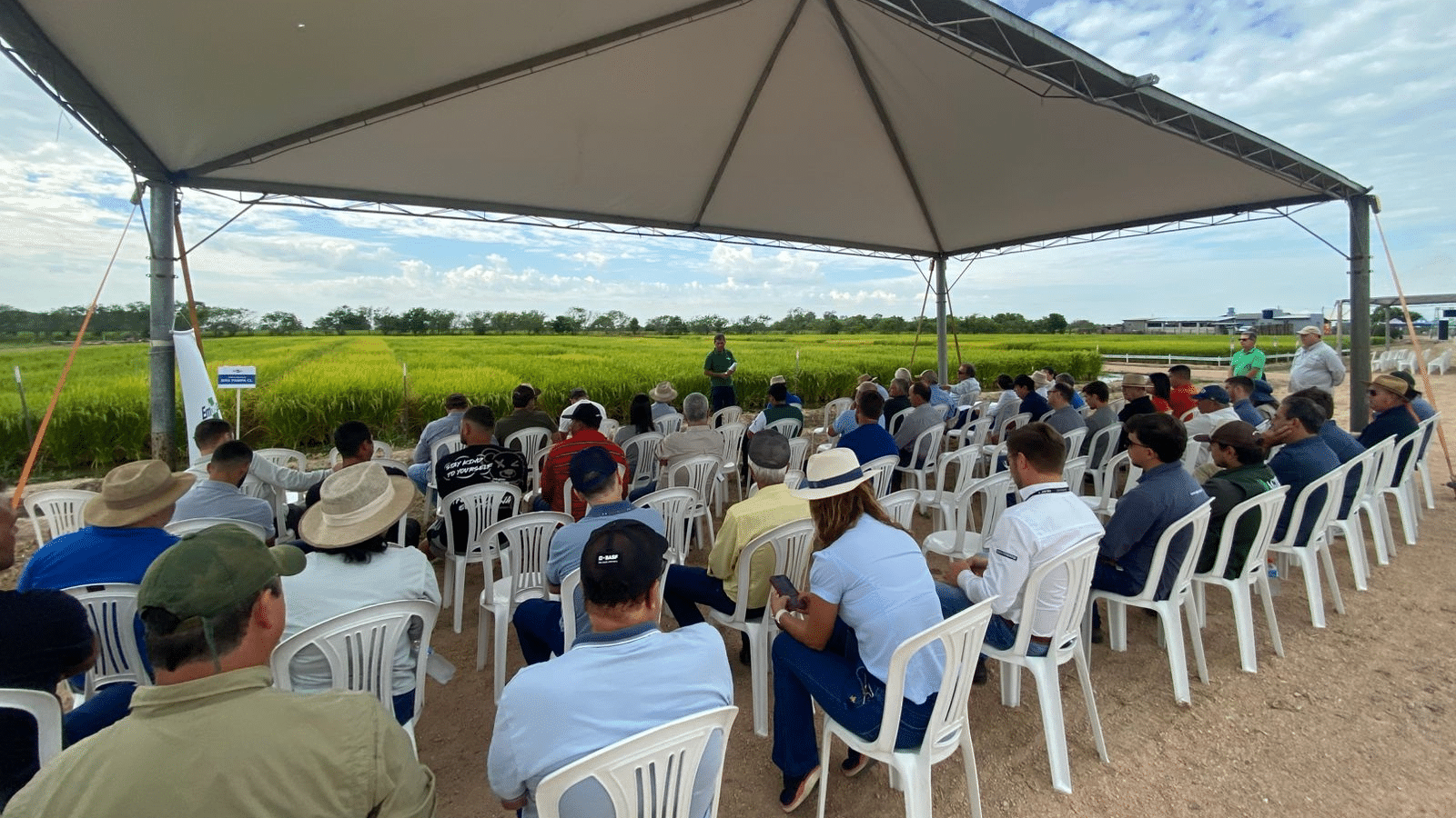 AUD e IRGA promovem Dia de Campo sobre arroz na planície costeira interna