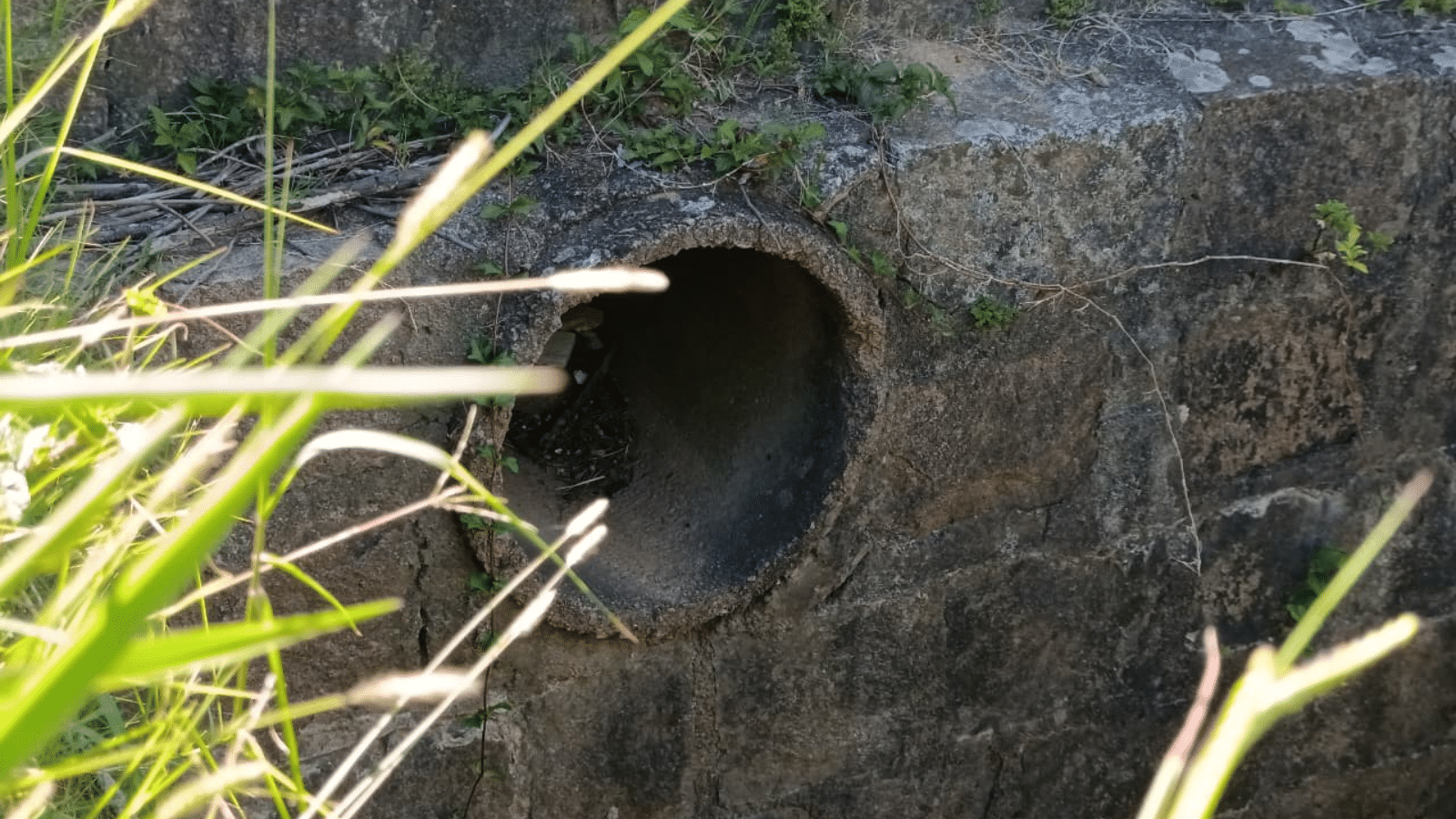 esgoto - saneamento - Camaquã - Corsan