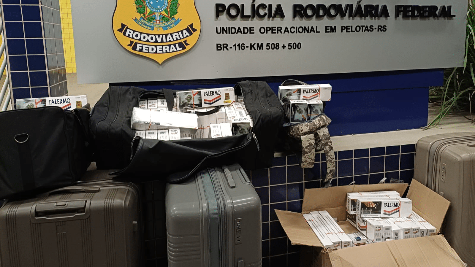 PRF prende contrabandista de cigarros com mais de 4 mil maços em Pelotas. Foto: Divulgação/PRF.