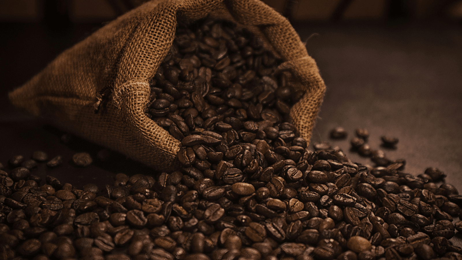 Café pode ficar mais barato no segundo semestre de 2026. Foto: Canva/Ilustrativa.