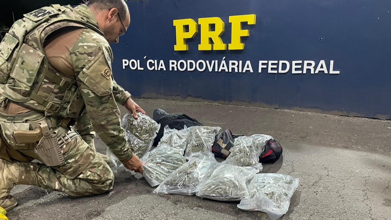 Skunk e haxixe: homem é preso com carga valiosa na BR-290