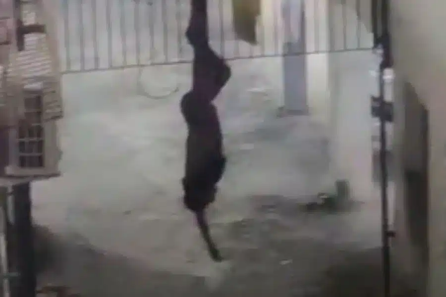 Suspeito de invasão fica preso em portão e precisa de resgate