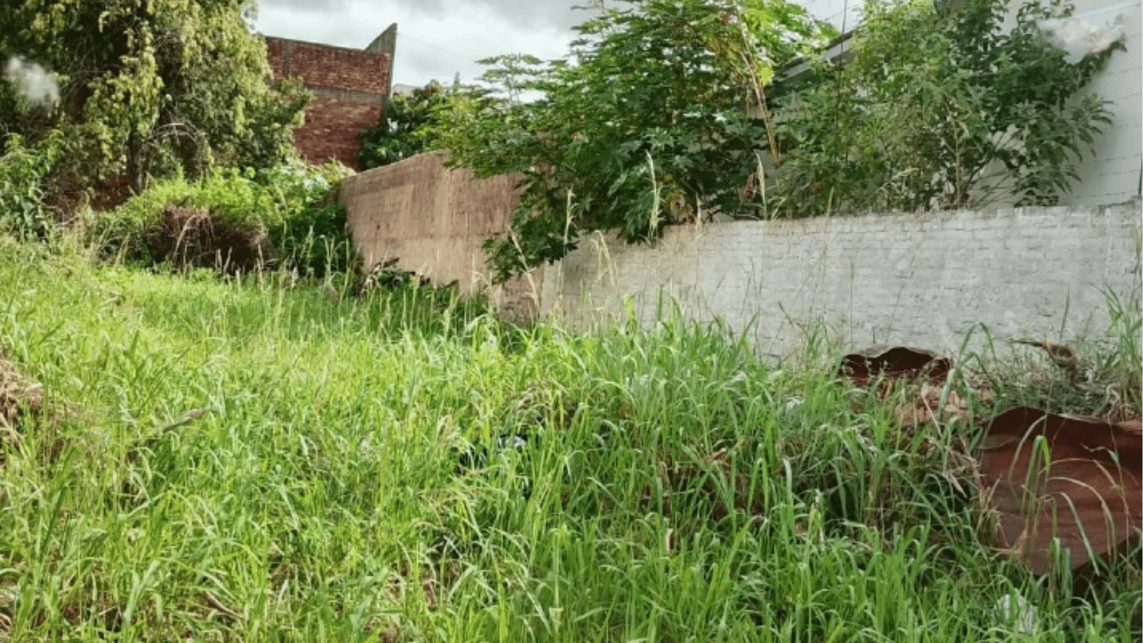 Prefeitura anuncia data de leilão de terreno público em Camaquã