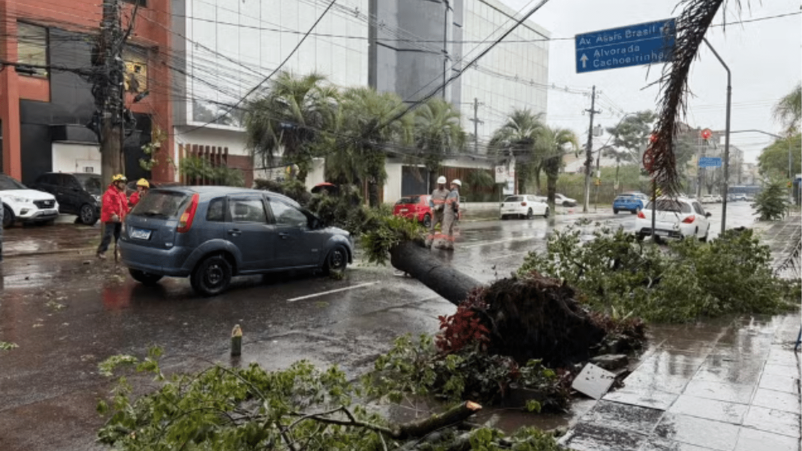 Árvore de grande porte cai e atinge carro em Porto Alegre