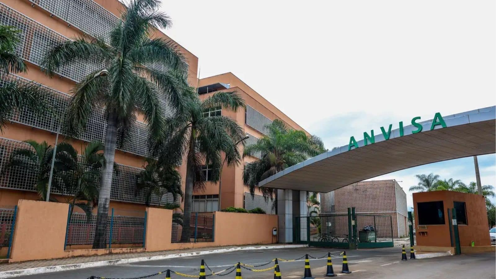 Anvisa aprova Mounjaro para criança e adolescente com diabetes tipo 2
