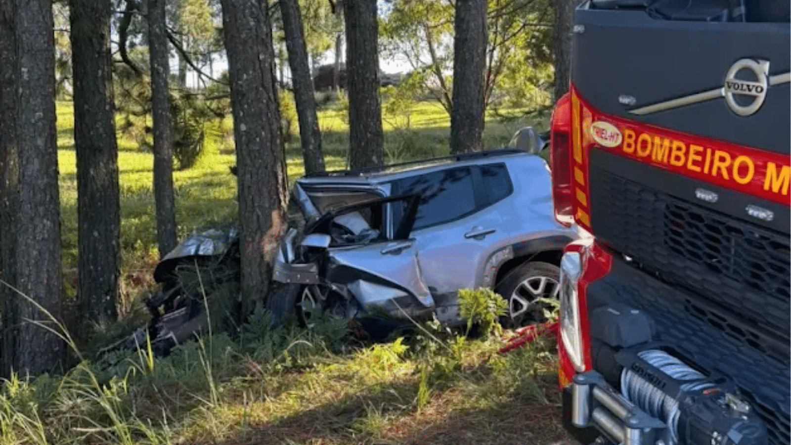 Condutor morre após carro colidir contra árvore em Encruzilhada do Sul