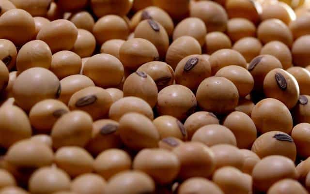 Golpe do Grão Invisível: Veja como bando roubou R$ 6 milhões no RS!