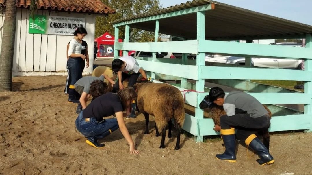 Escola Chequer Buchaim apresenta projetos na ExpoCamaquã 2026