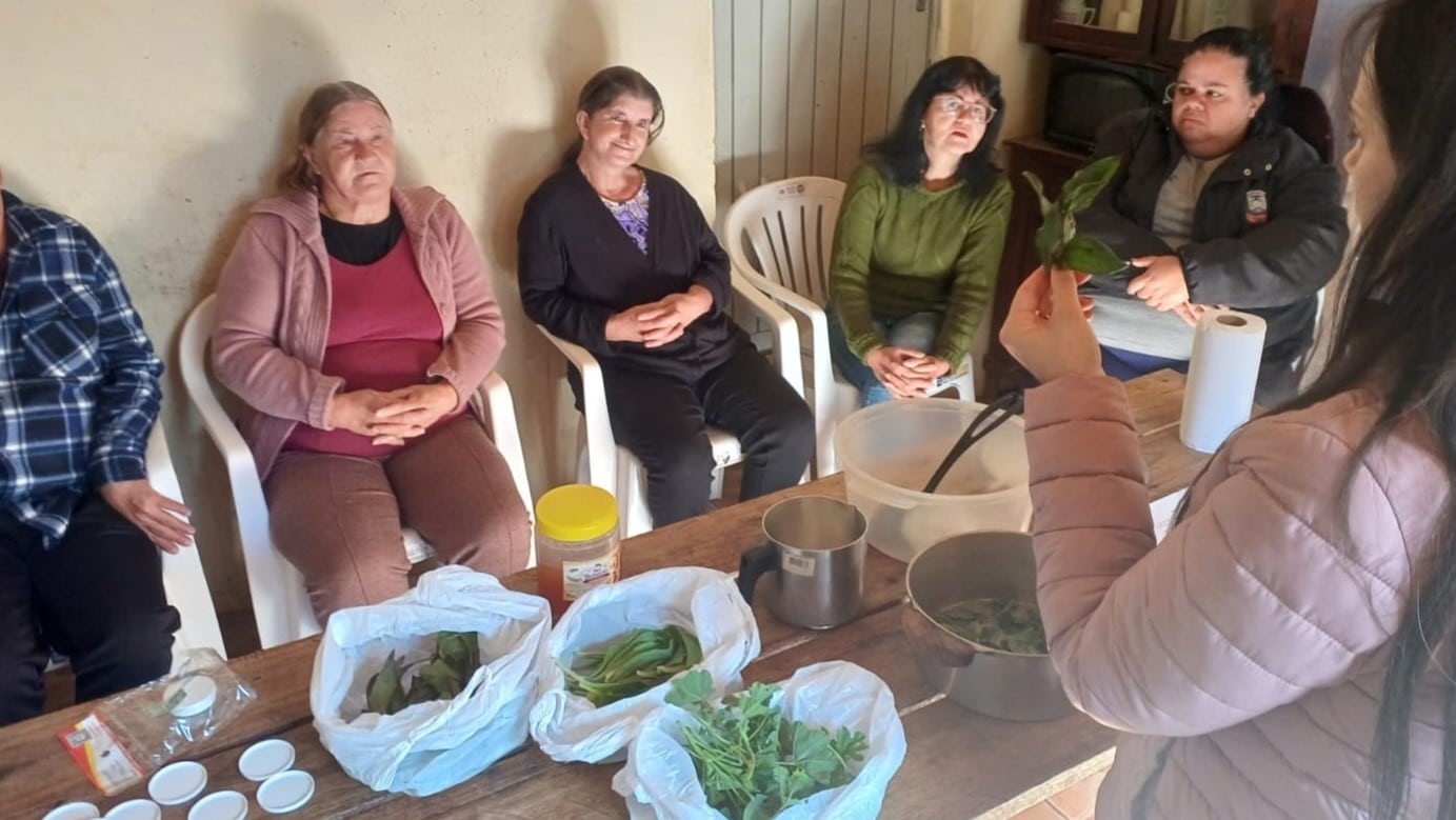 Oficina ensina uso de plantas medicinais em Dom Feliciano
