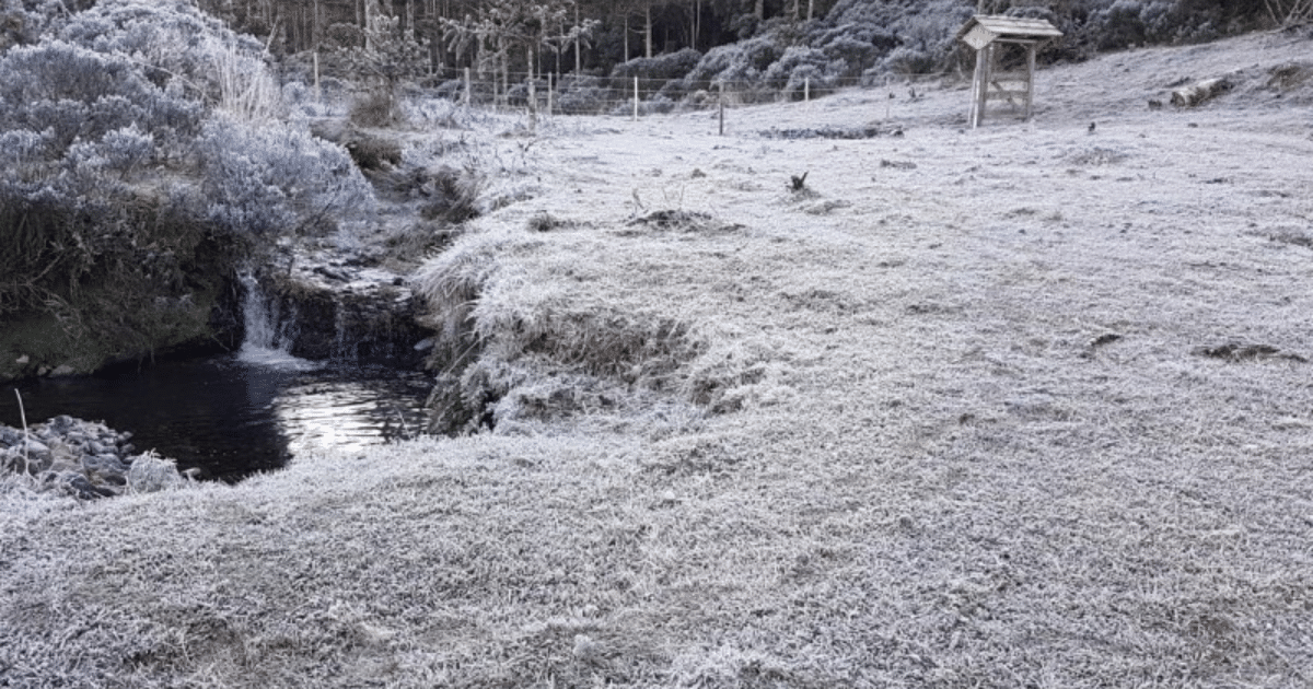 Frio histórico vai congelar o Brasil com marcas de até -8°C