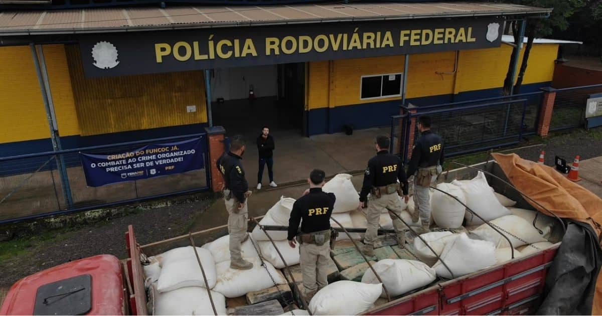 Polícia apreende 800 quilos de maconha escondidos em carga de ração em Lajeado