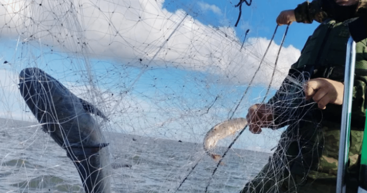 Rede de pesca irregular é apreendida na Lagoa dos Patos
