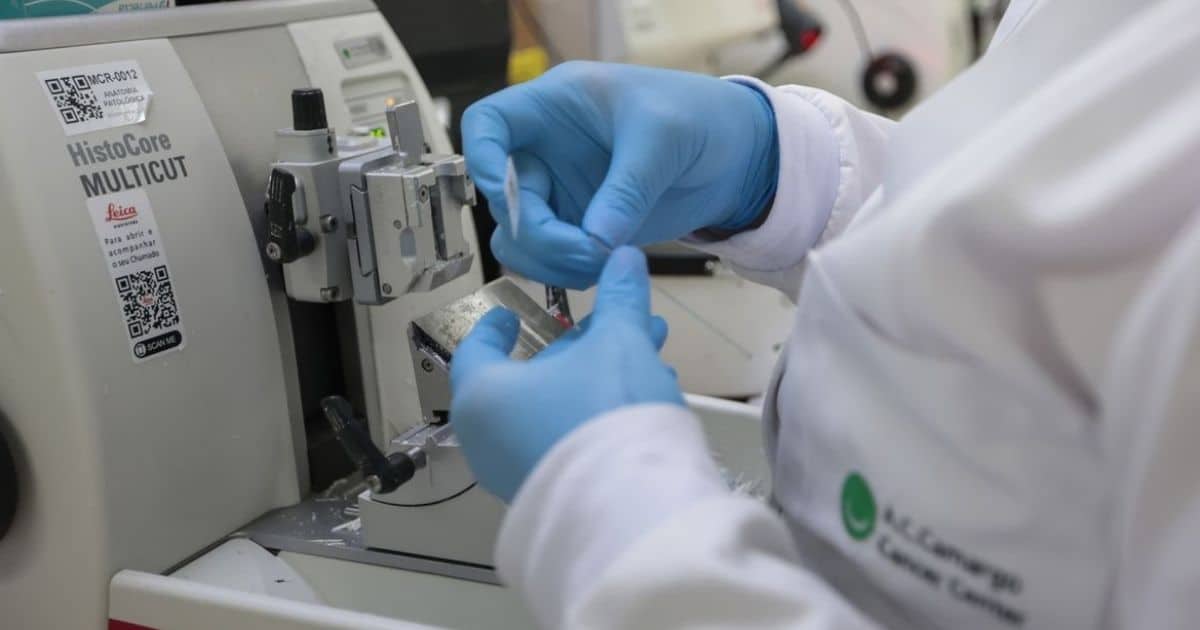 SUS inclui nova terapia para pacientes adultos com leucemia mieloide